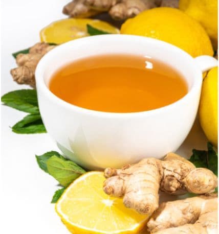 Best cup of ginger lemon mint tea with garnish of mint leaves in Saint Paul